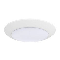 Disc Ceiling Fixture